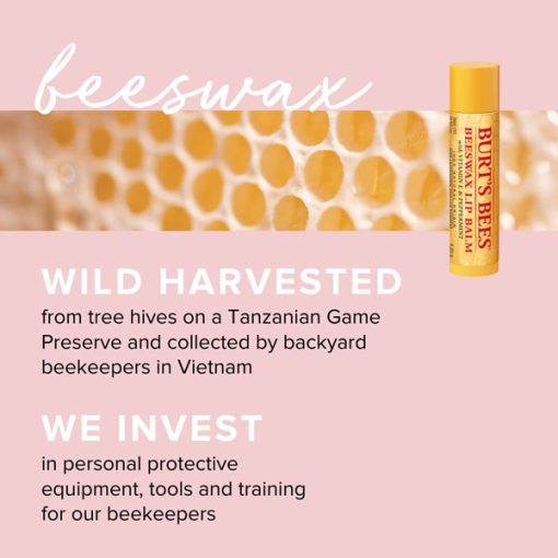 【Flash Sale + Free Shipping】Burt's Bees 5 Trial Size Essential Kit Gift Set - Deep Cleansing Cream, Hand Salve, Body Lotion, Foot Cream & Lip Balm - Image 9