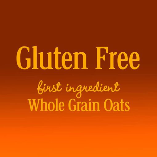 【Flash Sale + Free Shipping】Cheerios Honey Gluten Free Breakfast Cereal with Oats &  Nut Cheerios(4 Boxes -  10.8 oz,15.4 oz,18.8 oz and 27.2 oz) - Image 9