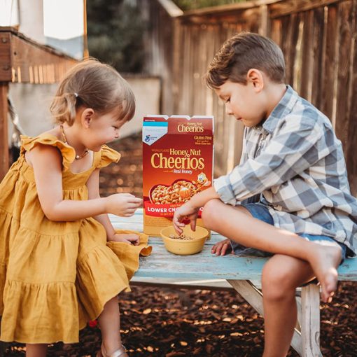 【Flash Sale + Free Shipping】Cheerios Honey Gluten Free Breakfast Cereal with Oats &  Nut Cheerios(4 Boxes -  10.8 oz,15.4 oz,18.8 oz and 27.2 oz) - Image 14